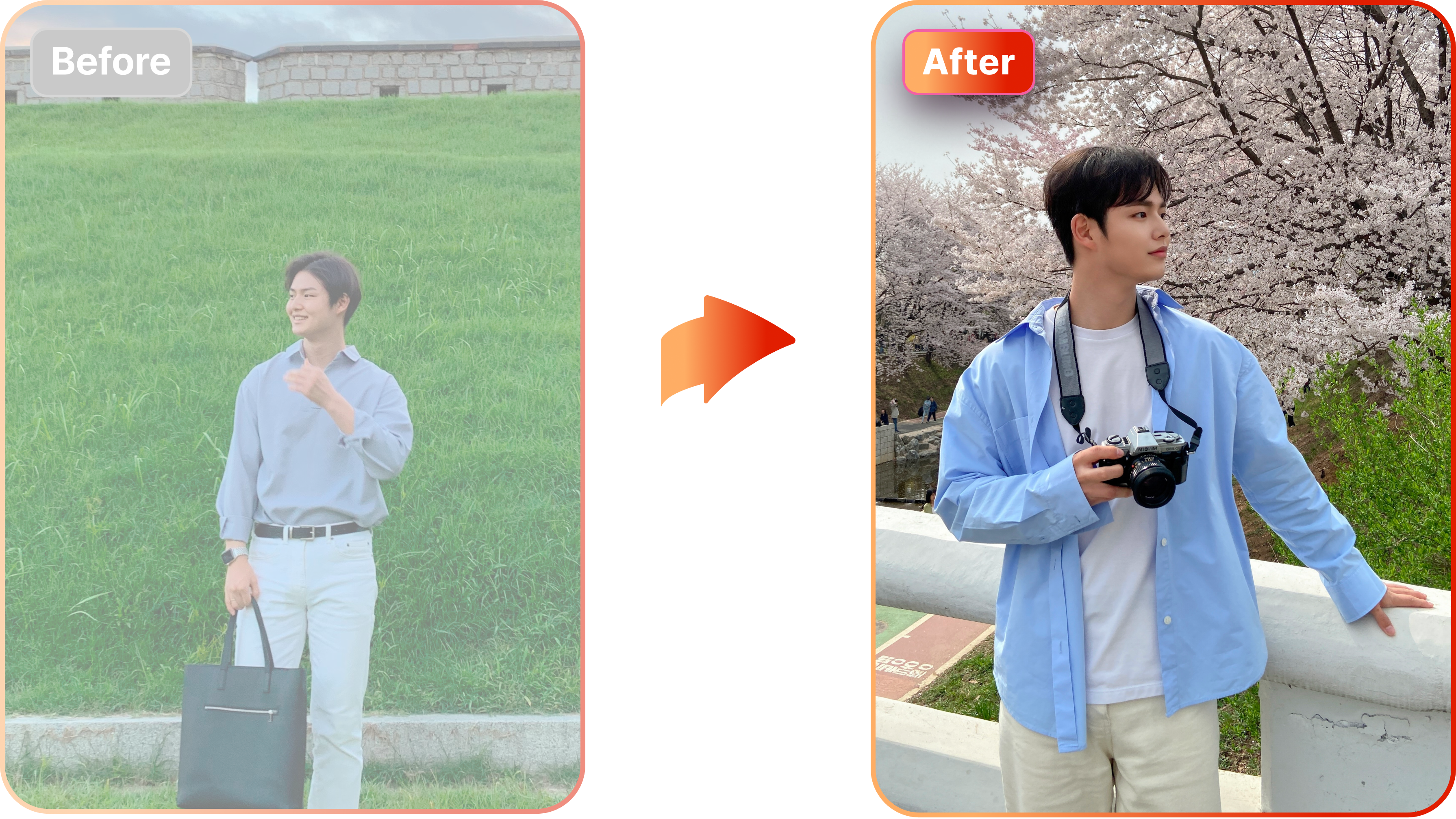 트란시투 갤러리 이미지 13